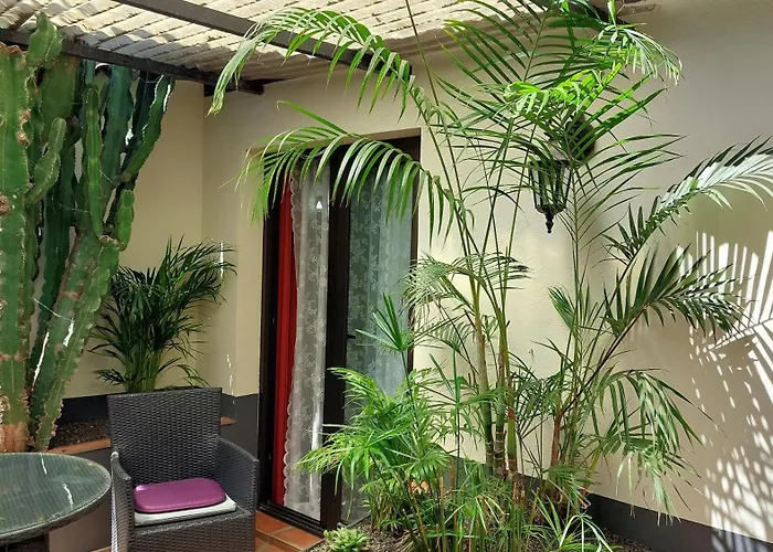 Aptos Monasterio De San Antonio 1 Апартаменты Икод-де-лос-Винос