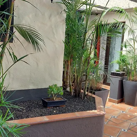 アパート Aptos Monasterio De San Antonio 1 イコー・デ・ロス・ビノス