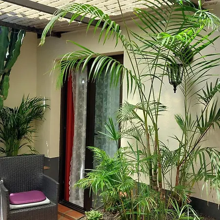 Aptos Monasterio De San Antonio 1 アパート イコー・デ・ロス・ビノス