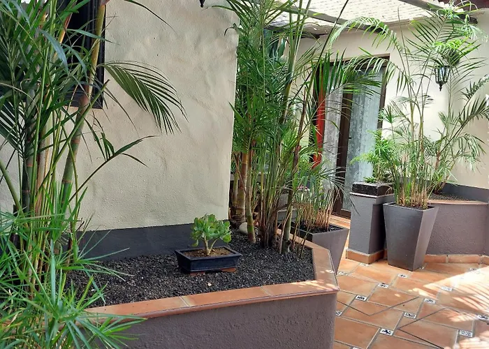 Apartman Aptos Monasterio De San Antonio 1 Icod de los Vinos